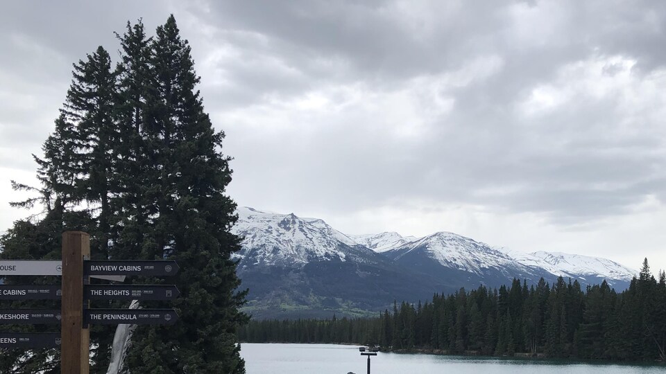 Une vue du parc national Jasper, en Alberta, montre un lac et une forêt au pied de montagnes.