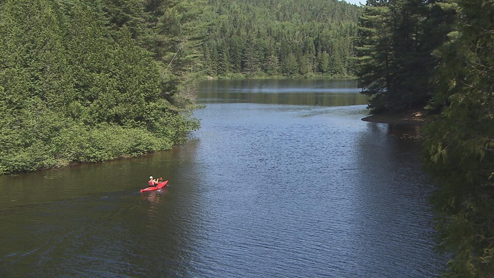 Canoteur sur une rivière au parc national de la Mauricie, le 5 juillet 2017