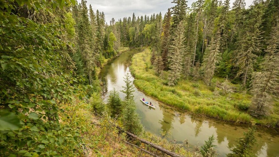 Deux personnes avancent en canot sur une rivière entourée d'une forêt dense.