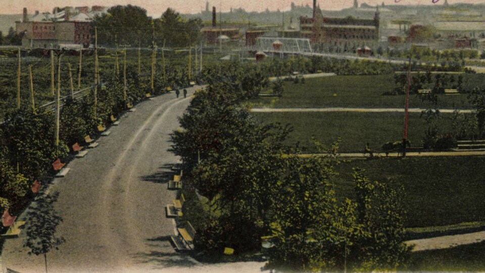 L'avenue principale du parc Victoria, en 1906, avec ses jeunes arbres, ses bancs et l'un de ses ponts au loin