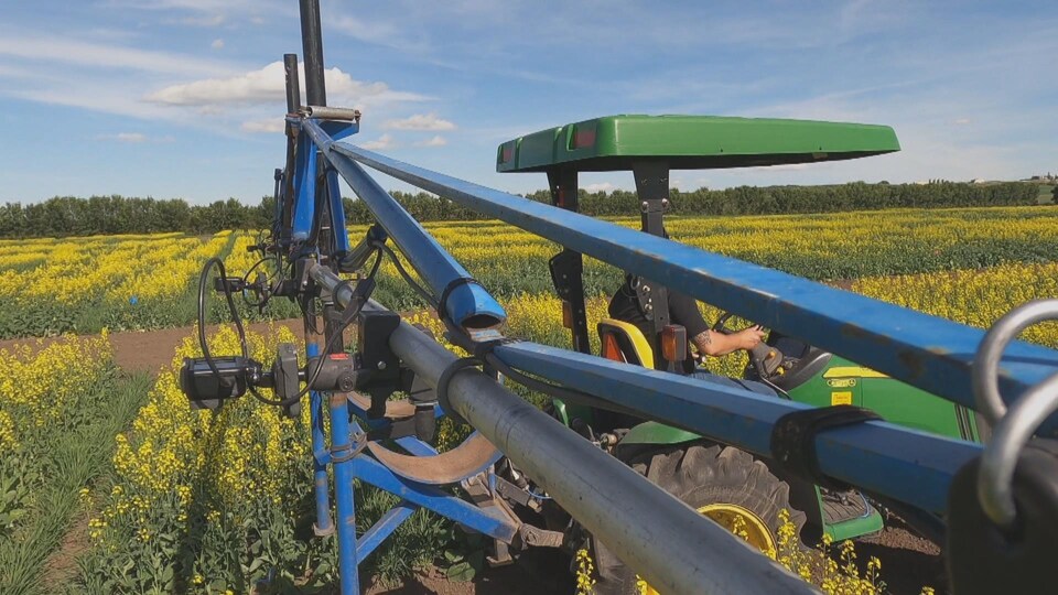 Trois caméras sont attachées à une barre en métal sur un tracteur vert qui roule dans un champ de canola aux fleurs jaunes.