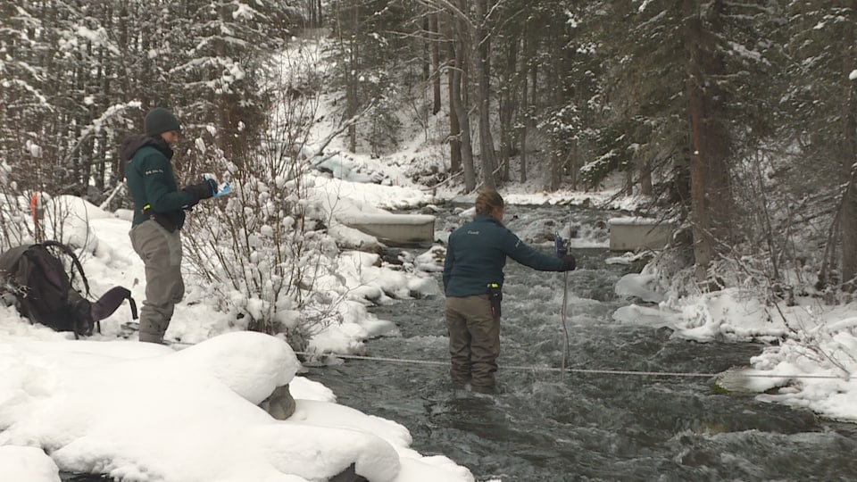 Deux écologistes de Parcs Canada prennent des mesures dans le ruisseau Cascade à Banff.