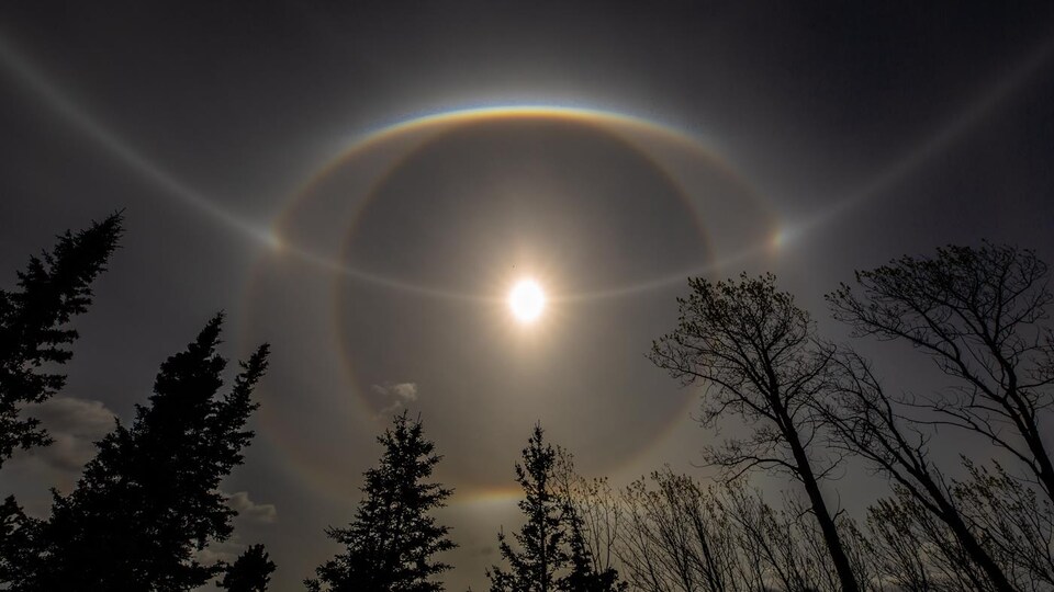 Le soleil entouré de halos lumineux.