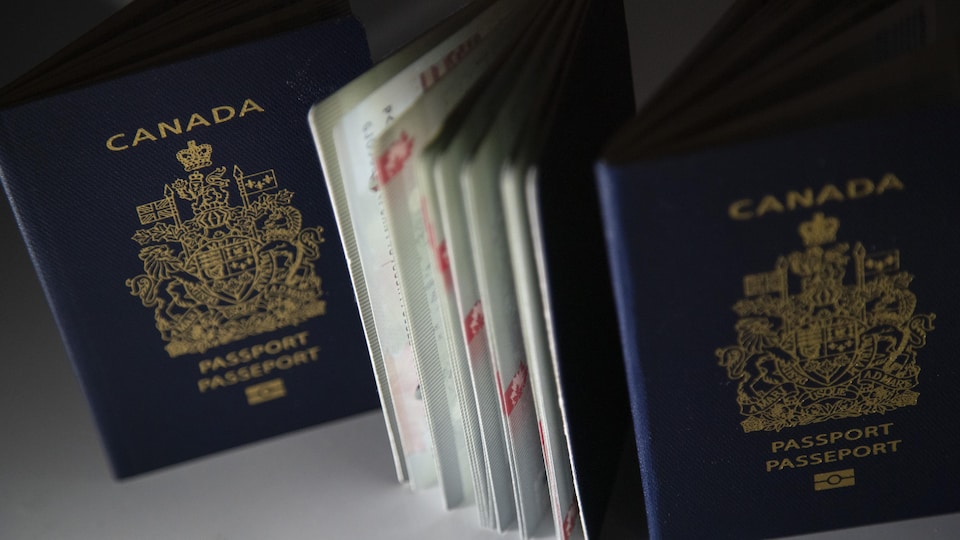 Trois passeports canadiens en gros plan.