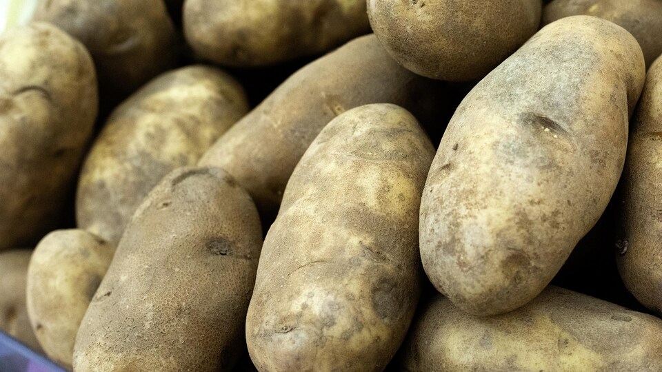 Des pommes de terre sur un étal.