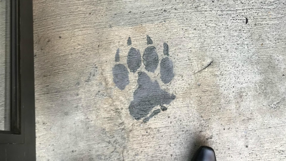 Une patte de loup est peinte sur un trottoir.