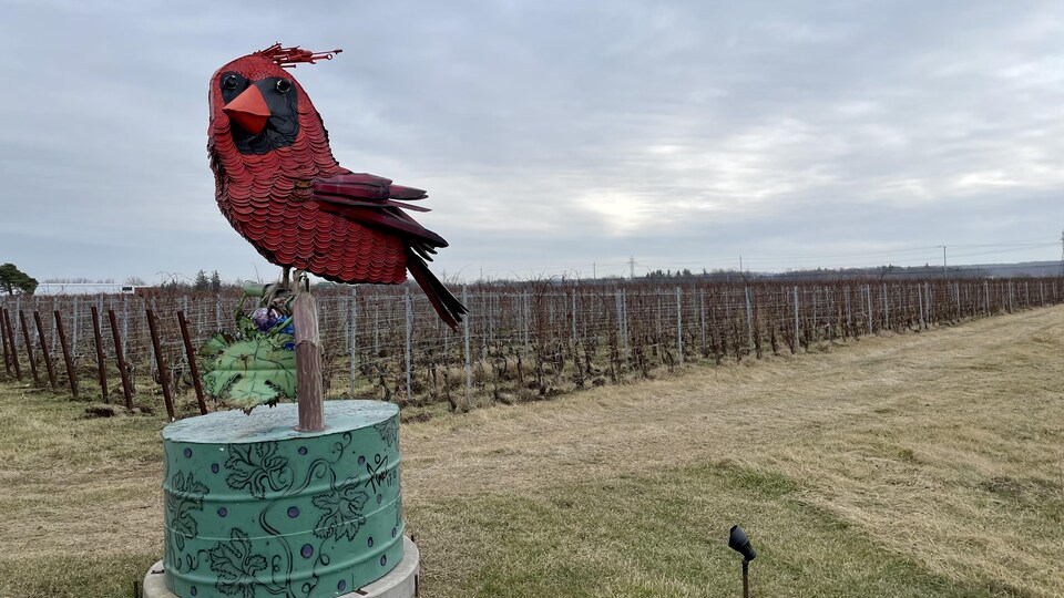 La sculpture du cardinal devant les vignes.