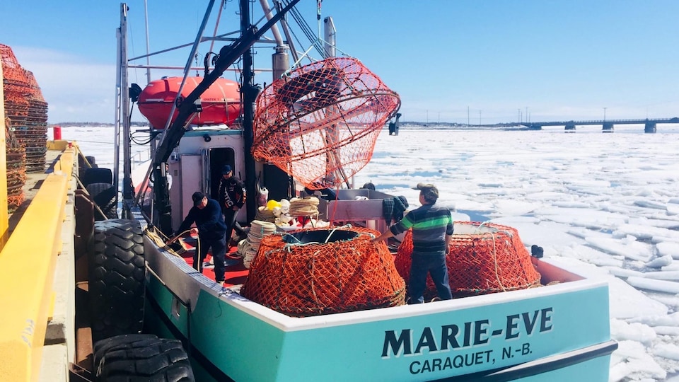Au quai de Shippagan, les pêcheurs de crabe des neiges retiennent leur souffle et espèrent pouvoir prendre la mer bientôt. 