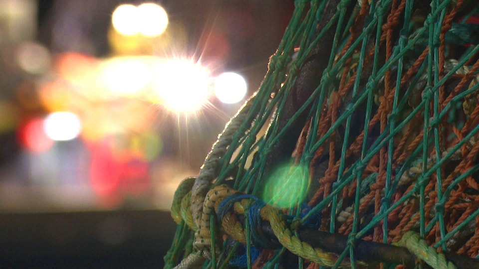Un filet de pêche au crabe sur le quai, la nuit.