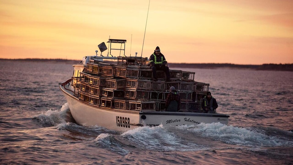 Un bateau de pêche au large de North Rustico, à l'Île-du-Prince-Édouard, en mai 2019.