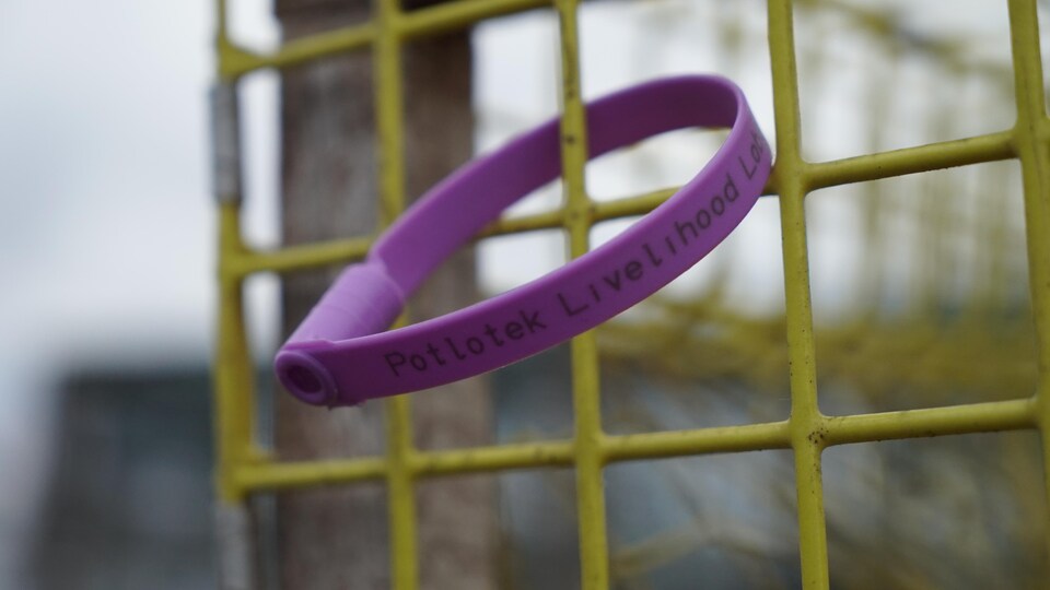 Étiquette mauve avec le mot Potlotek, attachée à un casier à homard.