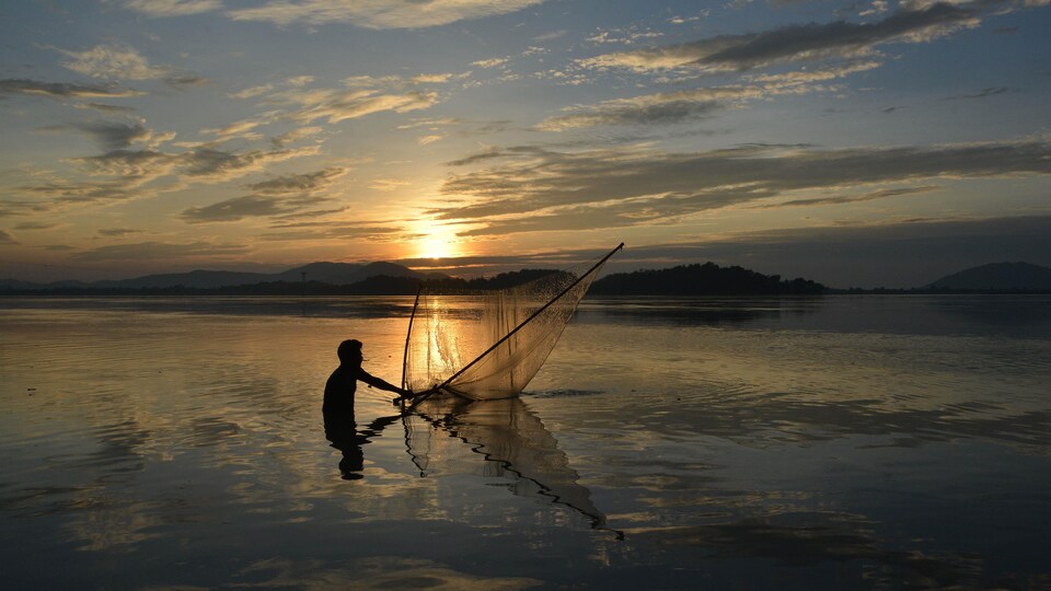 Un homme lance un filet à pêche dans les eaux du Brahmapoutre, à Guwahati, en Inde, au coucher du soleil.
