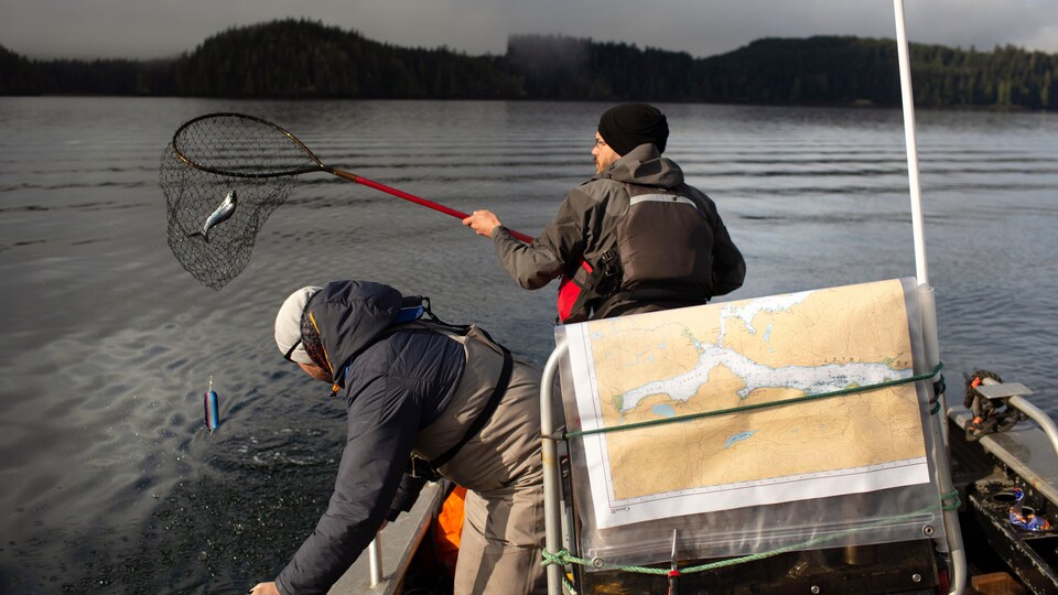 Deux chercheurs pêchent du saumon sur un lac de la Colombie-Britannique. 