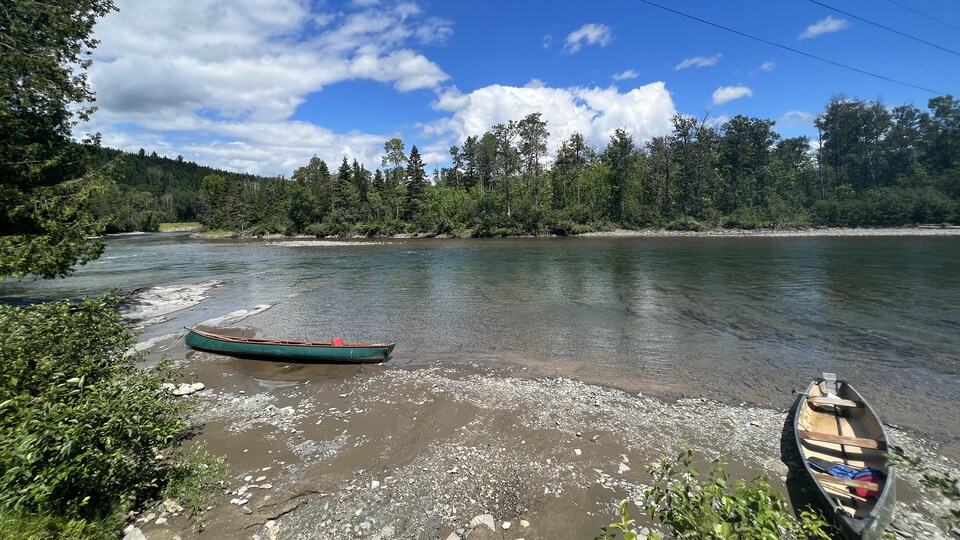 Les saumons et les touristes au rendezvous sur les rivières gaspésiennes RadioCanada.ca