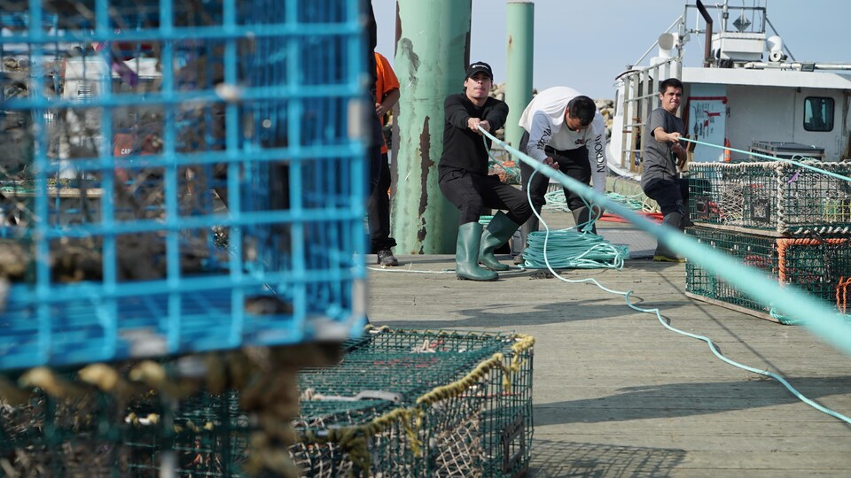 Des pêcheurs sur le quai tirent des gros cordages de pêche.