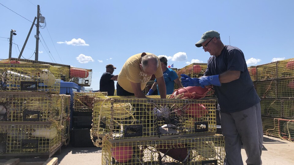 Deux hommes sur le quai autour de deux casiers à homard. Ils sont en train de travailler.
