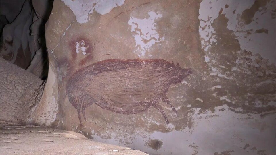 Figure de cochon sauvage réalisée à l'ocre rouge sur les parois de la grotte de Leang Tedongnge, en Indonésie.