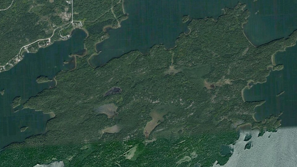 Une image satellite d'une péninsule recouverte d'arbres.