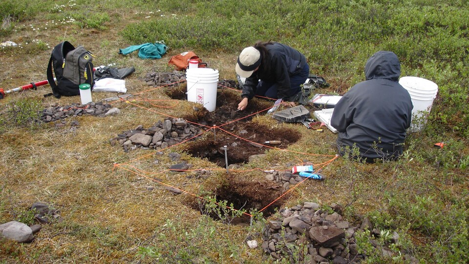 Des archéologues travaillent sur un site d'excavation en Alaska.