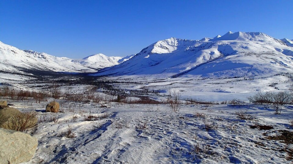 Un paysage enneigé au Yukon.