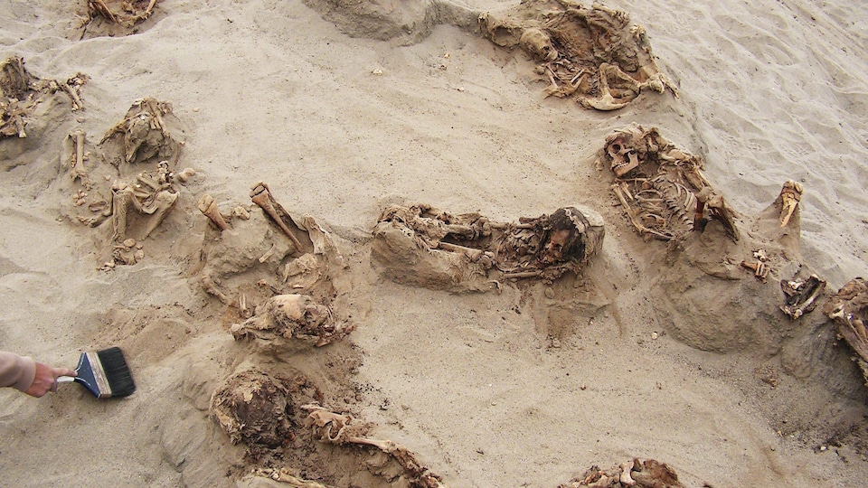 Des squelettes sur du sable.