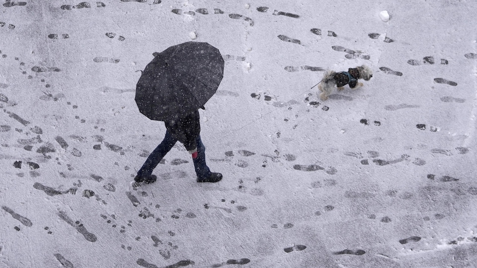 Un homme fait marcher son chien sous la neige.