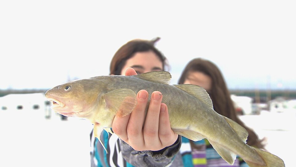 Des enfants à la pêche aux poulamons à Sainte-Anne-de-la-Pérade.