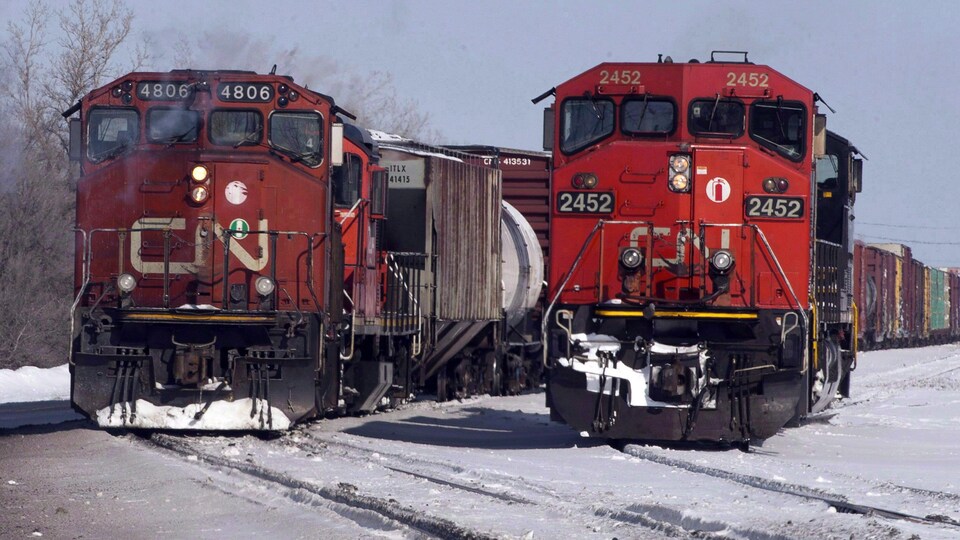 Deux trains du Canadien National sont côte à côte, sur des rails enneigés.