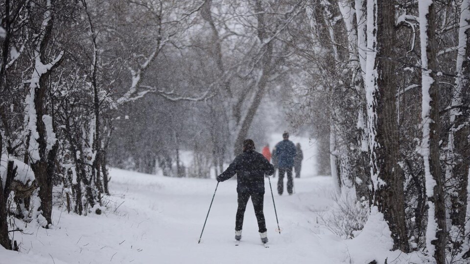 Une femme, de dos, fait du ski de fond à Ottawa.