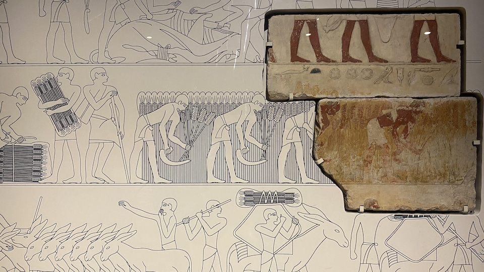 Fragments de dessins de la vie quotidienne à l'époque de l'Égypte antique.  