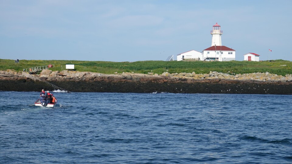 La partie centrale de l'île où on aperçoit le phare et les maisons des hommes de phares. Une chaloupe remplie de visiteurs se dirige vers l'île.
