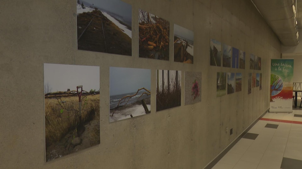 Une vingtaine de photos sur un mur de béton dans le hall de la salle de spectacle de Gaspé.