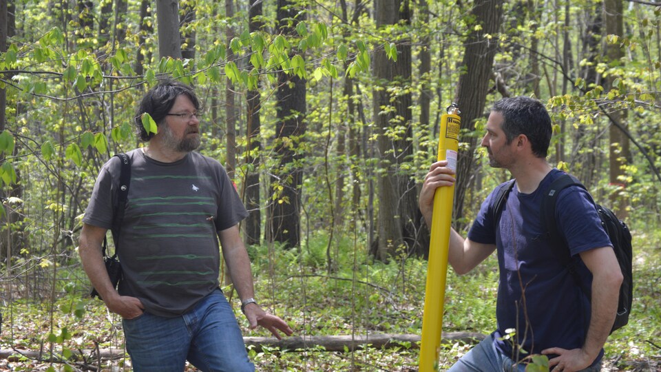Deux chercheurs de l'UQAM sur un terrain boisé.