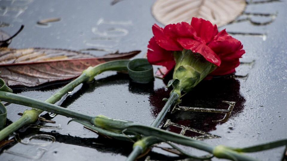Une fleur déposée sur une pierre tombale.