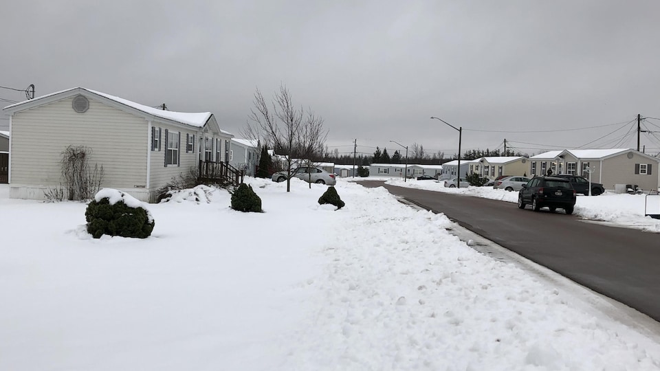 Intervention policière terminée dans le quartier Pine Tree à Moncton RadioCanada.ca