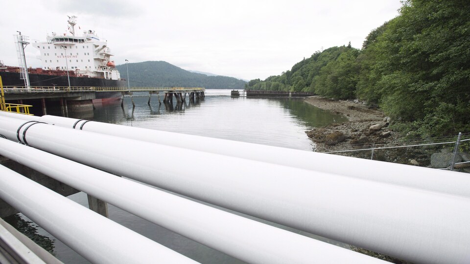 Photo d'un tanker pétrolier recevant son chargement de pétrole du pipeline Trans Mountain de Kinder Morgan, à Burnaby, en Colombie-Britannique, le 4 juin 2015.
