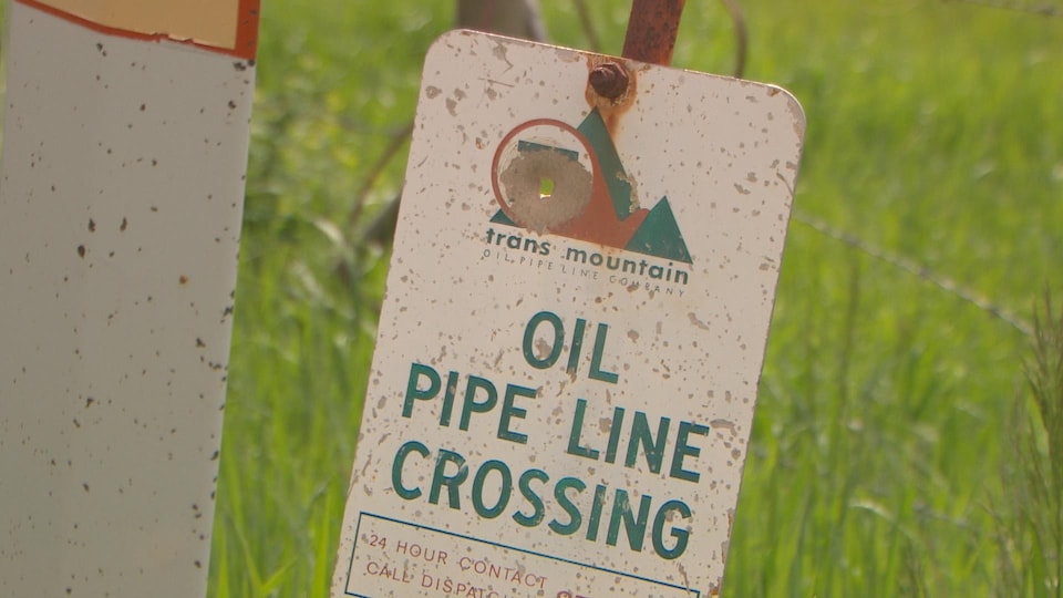 Un panneau en métal indique en anglais Oil Pipeline Crossing dans un champ d'herbe. 