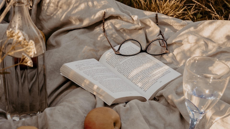 Photo montrant un livre au milieu d'un pique-nique.