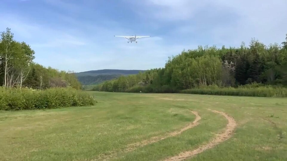 Un avion décolle d'une piste d'atterrissage en gazon.