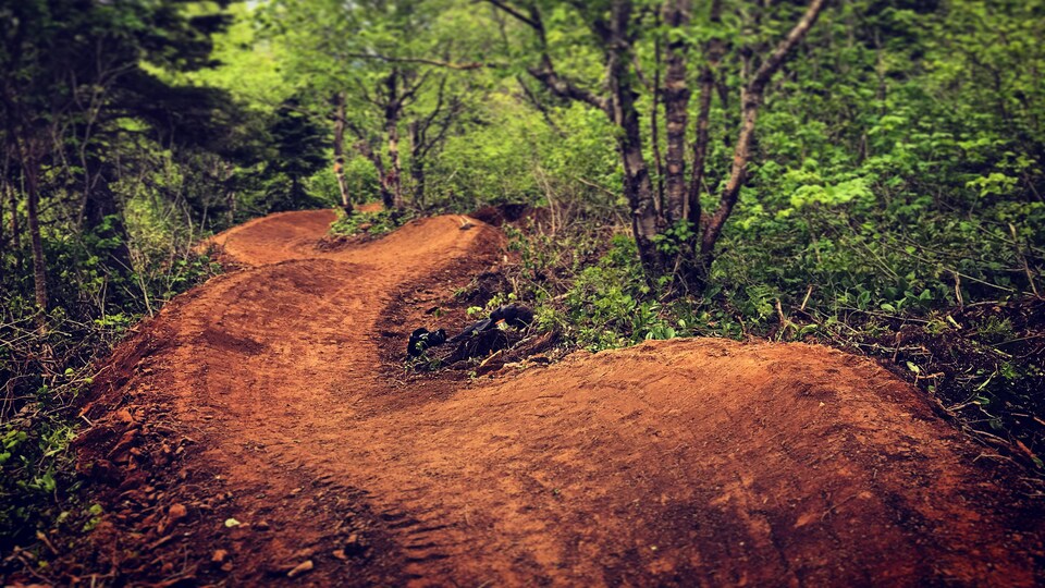 Une piste tortueuse avec des bosses.