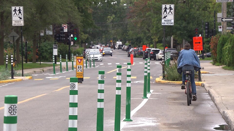 Une cycliste, de dos.