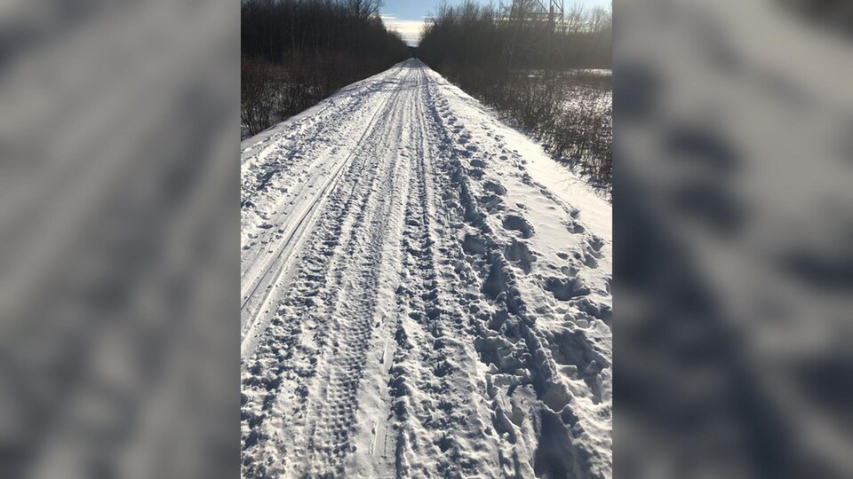 Sentier de neige où une motoneige et des VTT sont passés.