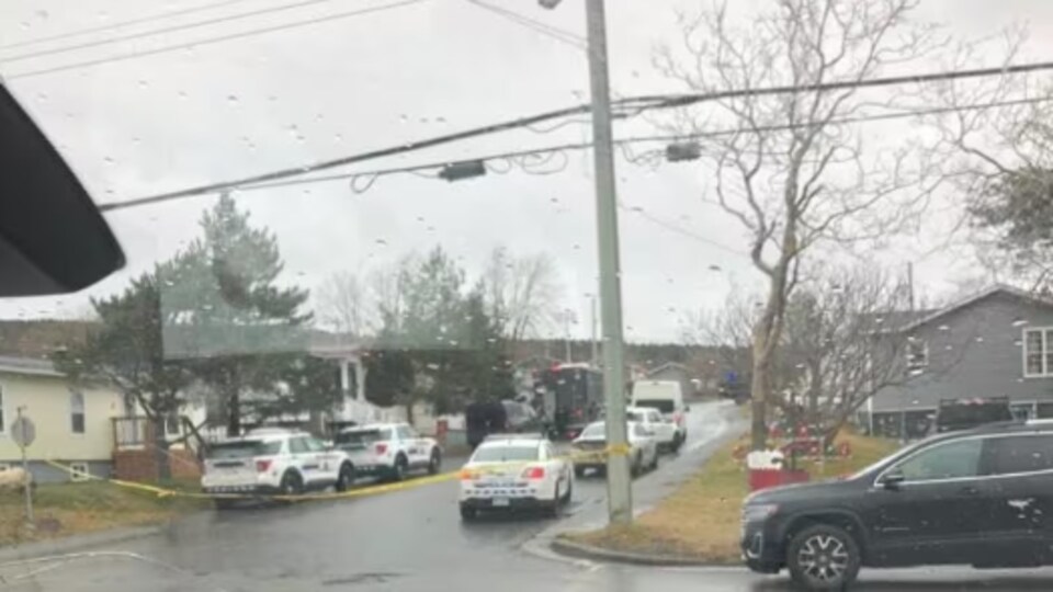 Sept véhicules policiers sont garés de chaque côté d'une rue.