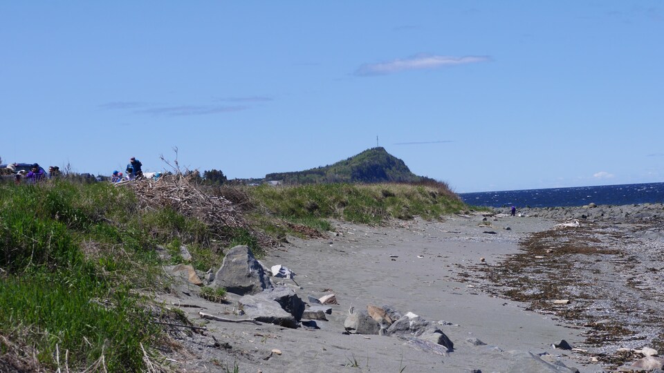 Ephemeride Du 16 Octobre 1996 De La Cocaine S Echoue A Cap Chat