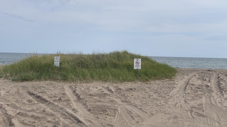 Des résidents de RivièreduPortage à la rescousse de leur plage
