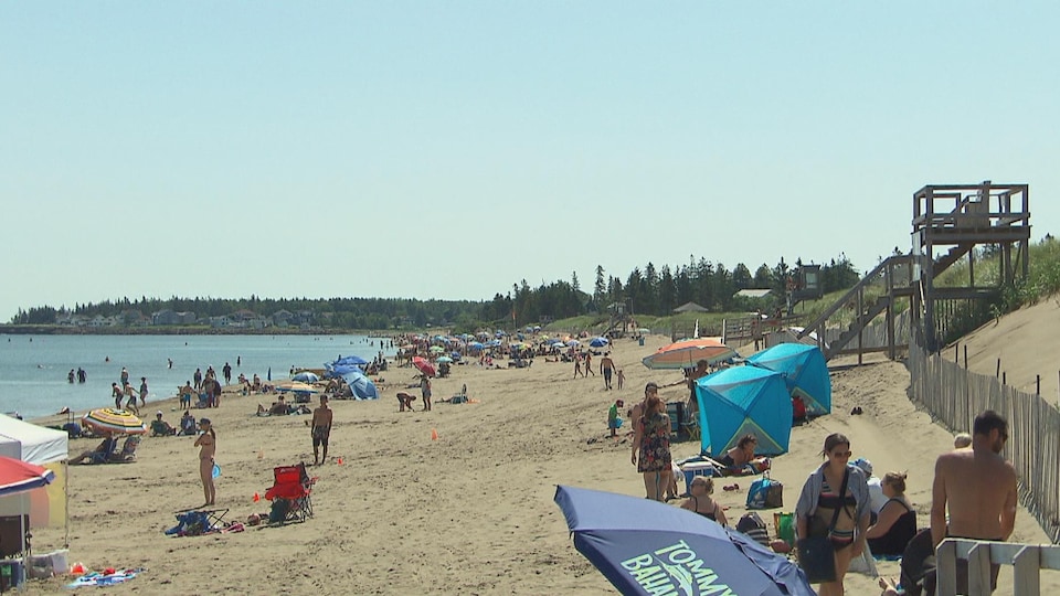 Des touristes en maillots de bain et des parasols sont dispersés sur le sable près de la mer.