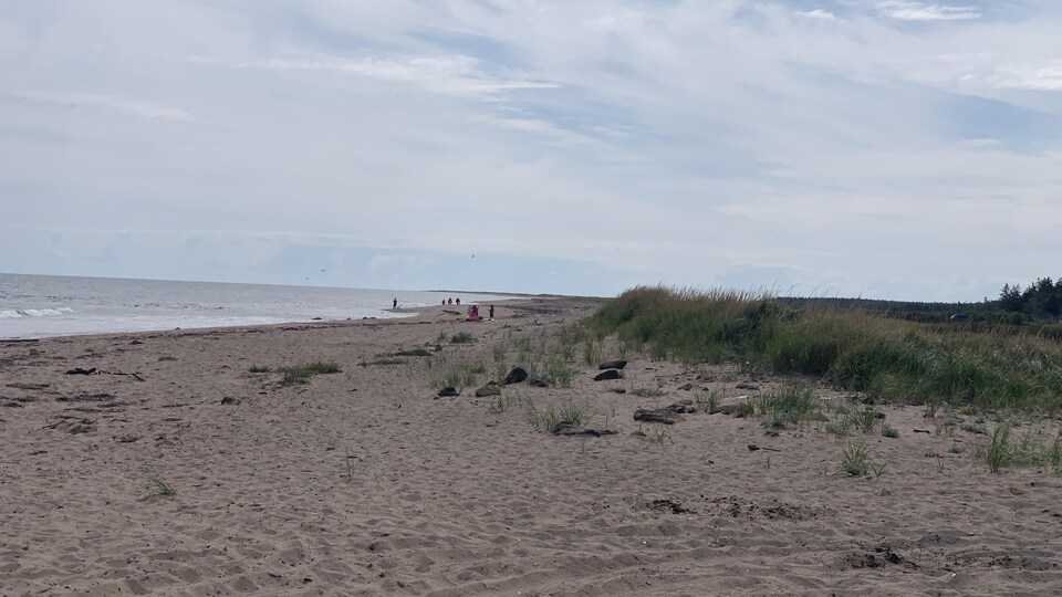 Des résidents de RivièreduPortage à la rescousse de leur plage RadioCanada.ca