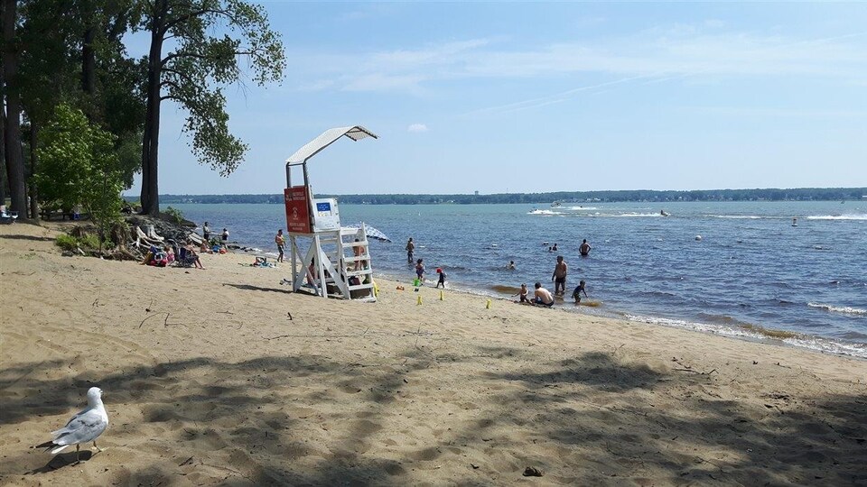La plage de l'île Saint-Quentin à Trois-Rivières.