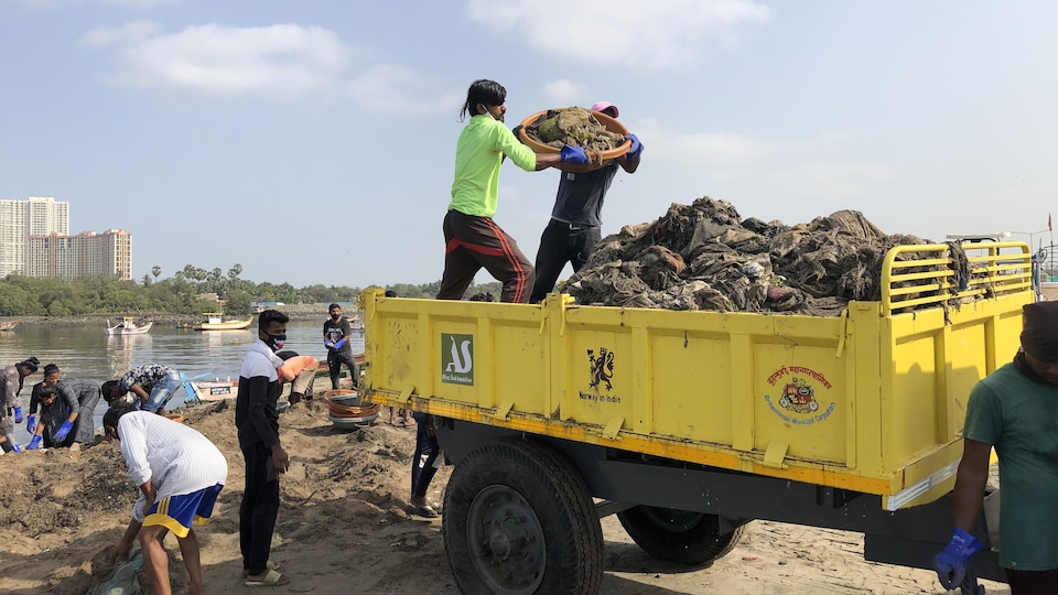 Des personnes ramassent des déchets sur la plage. Deux hommes déversent un contenant plein de détritus dans la benne d'un camion.