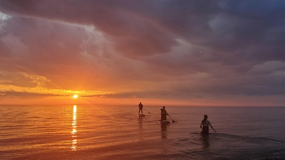 Des amateurs de planche à pagaie au couchant, sur le fleuve Saint-Laurent.